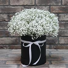 Цветочная композиция из Гипсофила в шляпной коробке #REPLACE_PRED# Белой Калитве