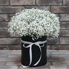 Цветочная композиция из Гипсофила в шляпной коробке в Белой Калитве